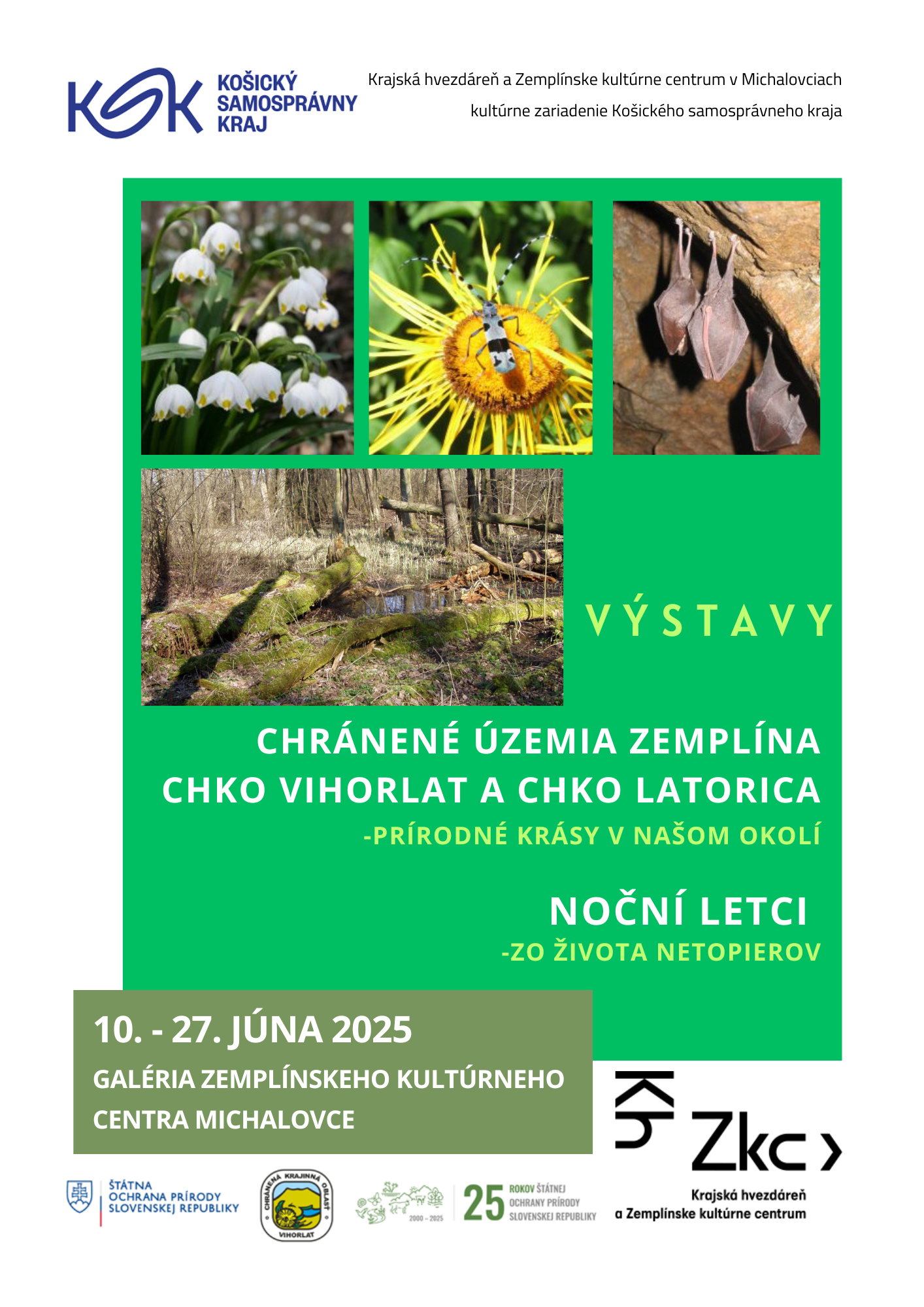 Výstava - Chránené územia Zemplína - CHKO Vihorlat a CHKO Latorica, Noční letci