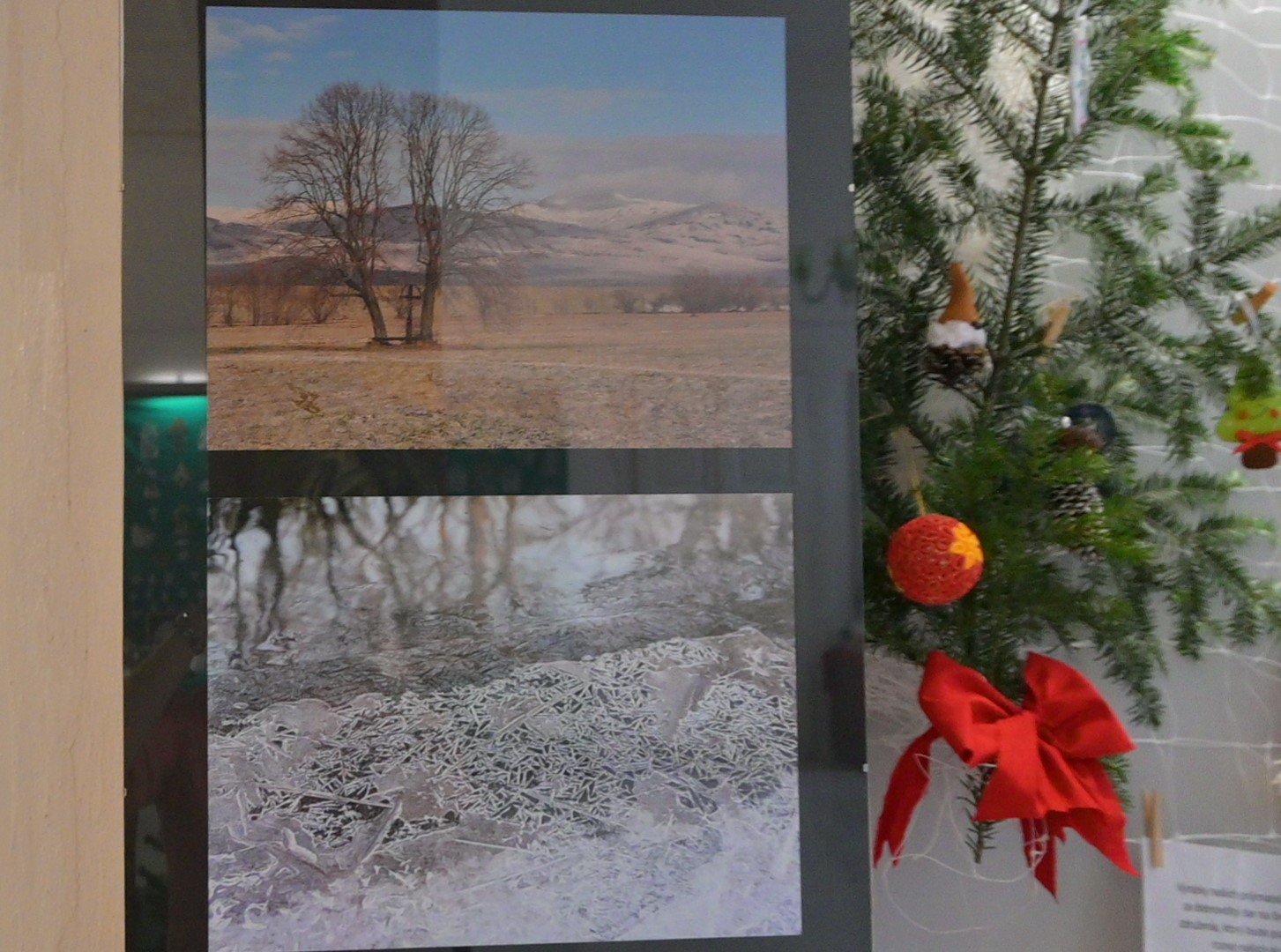 Vianočná výstava 2025