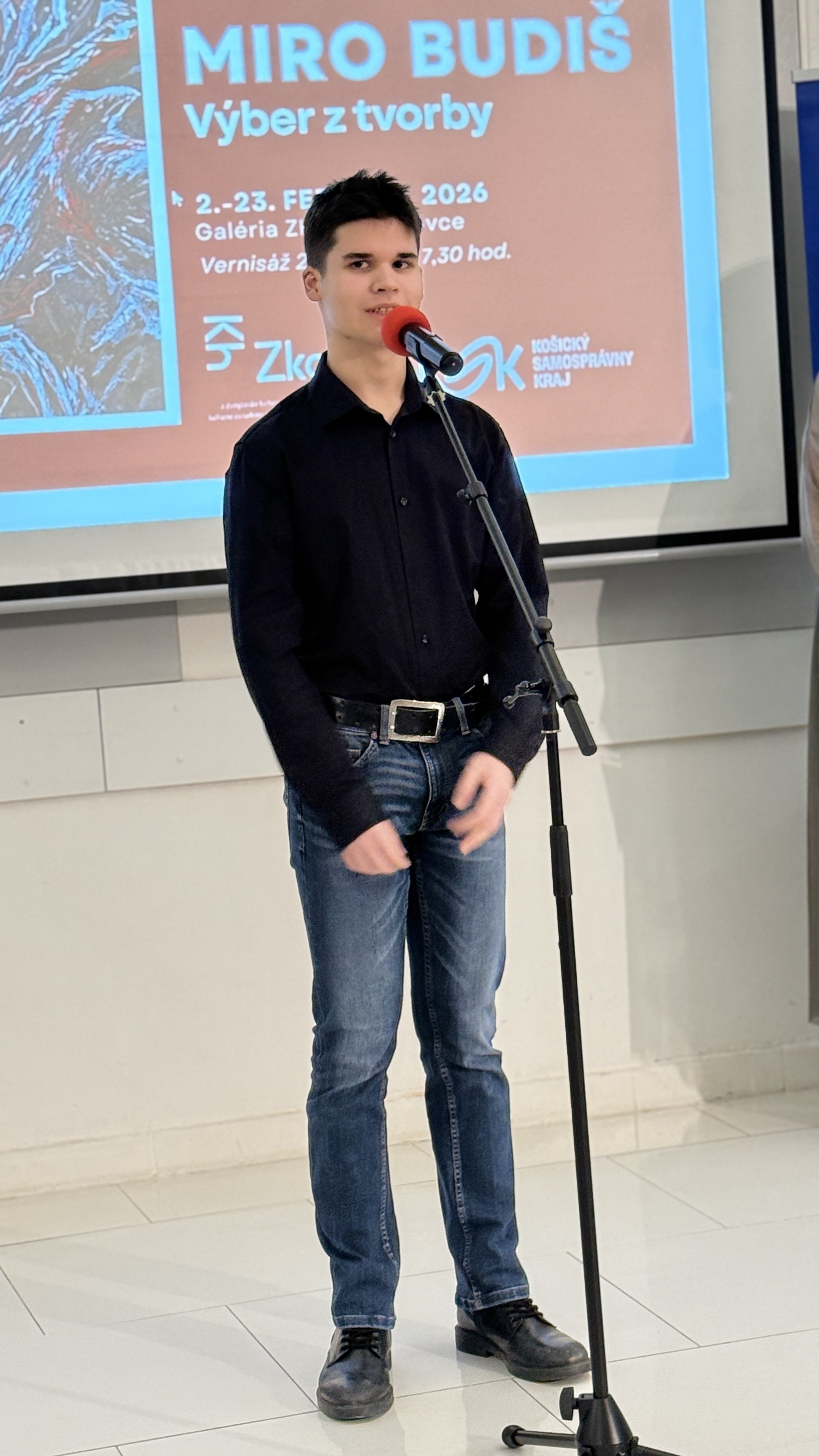 Výber z tvorby -  Miro BUDIŠ  - autorská výstava