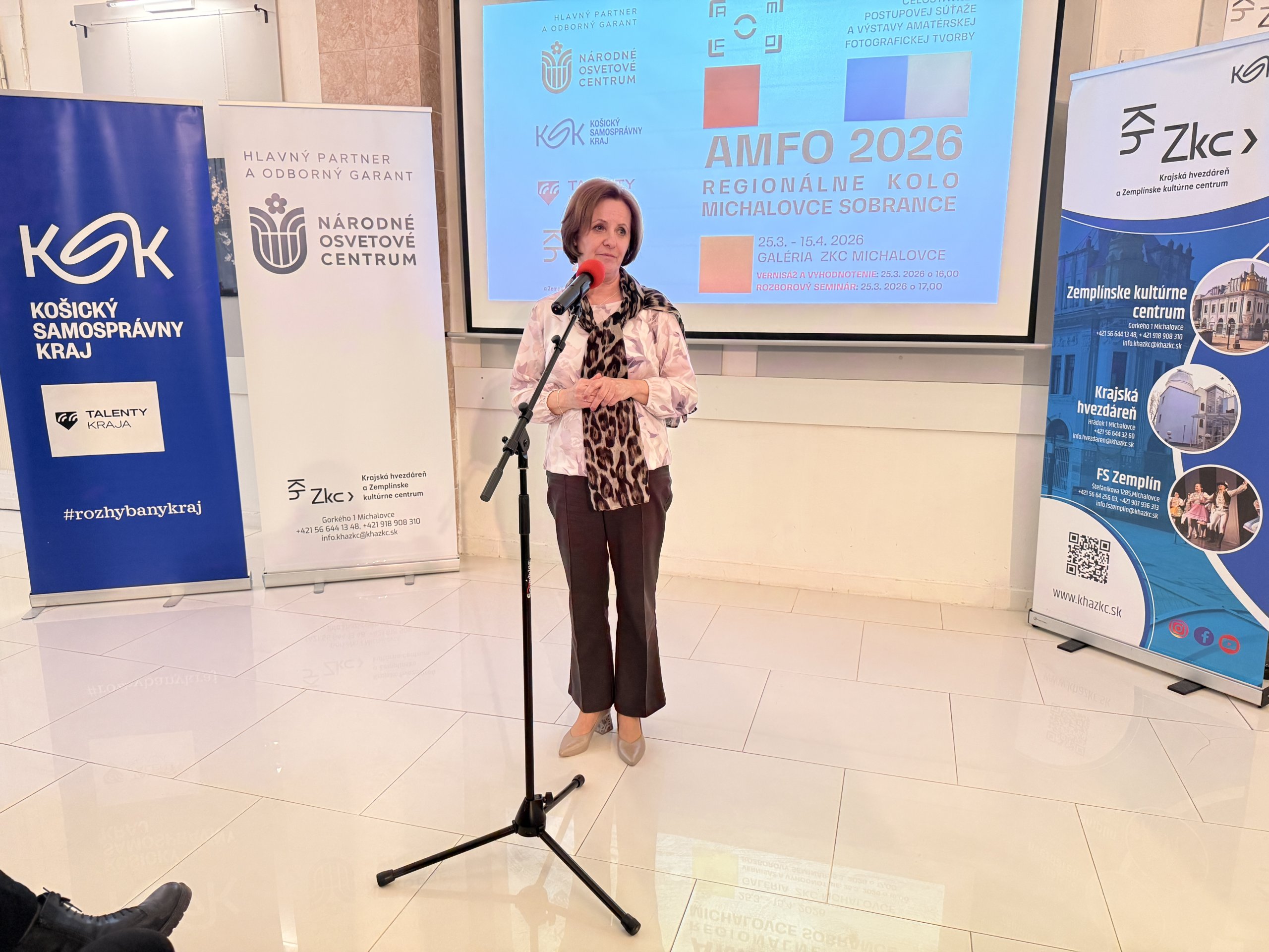 AMFO 2026 regionálne kolo Michalovce, Sobrance