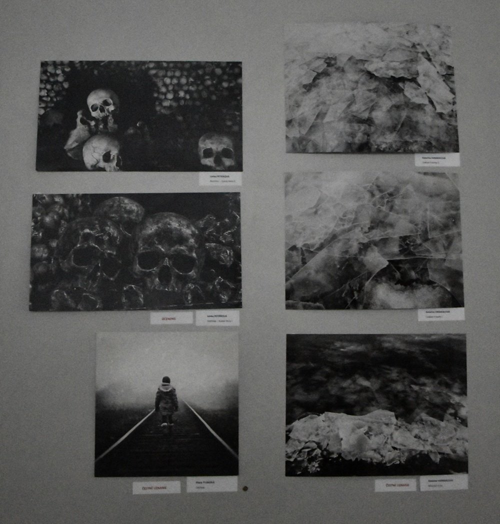 AMFO 2019 regionálna postupová súťaž a výstava