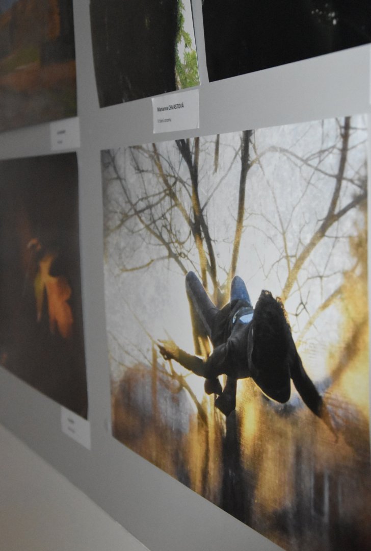 AMFO 2019 regionálna postupová súťaž a výstava