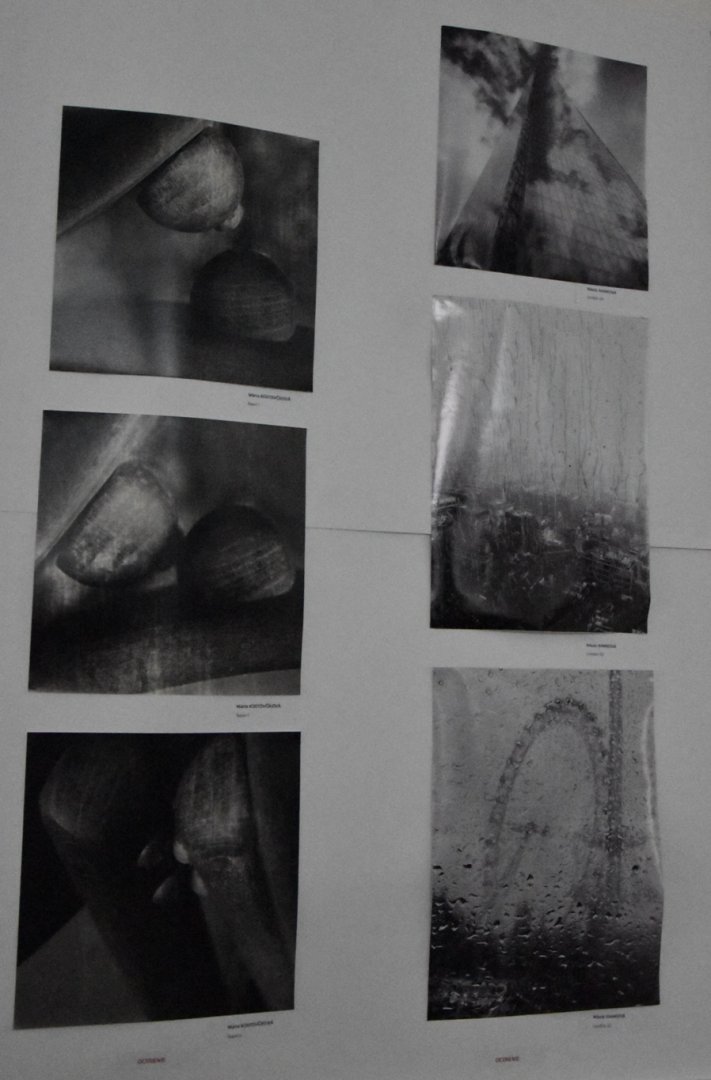 AMFO 2019 regionálna postupová súťaž a výstava