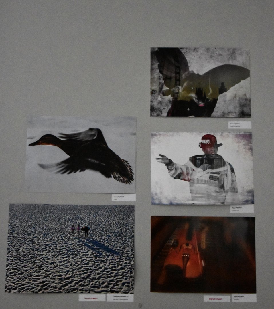 AMFO 2019 regionálna postupová súťaž a výstava