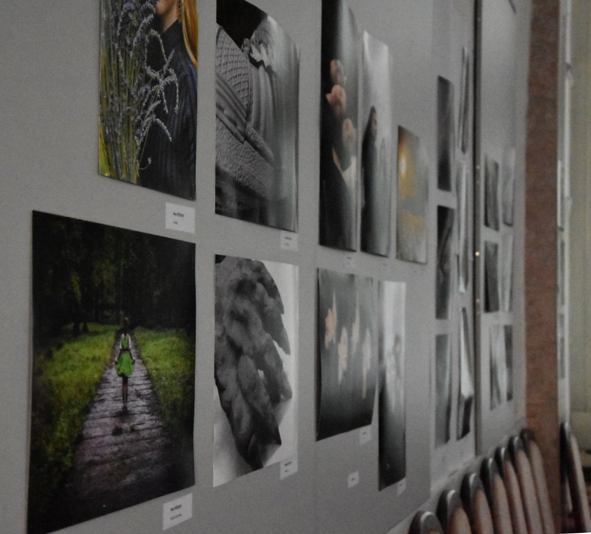 AMFO 2019 regionálna postupová súťaž a výstava