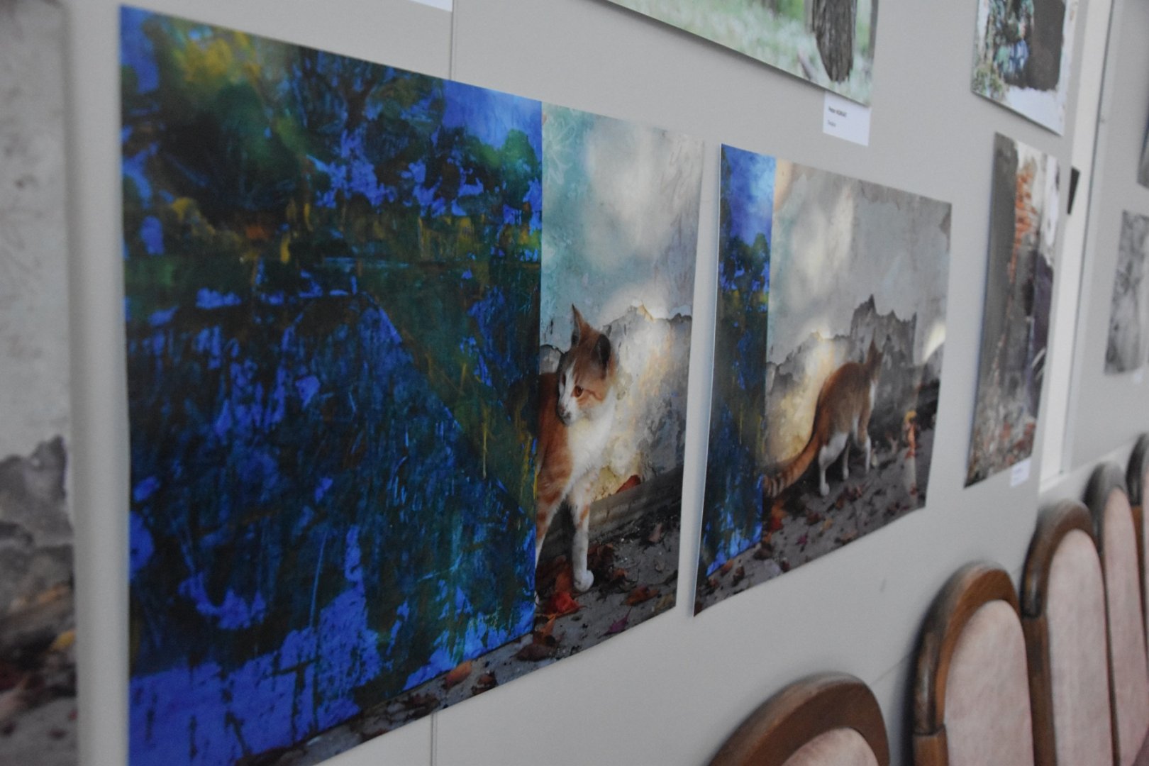 AMFO 2019 regionálna postupová súťaž a výstava