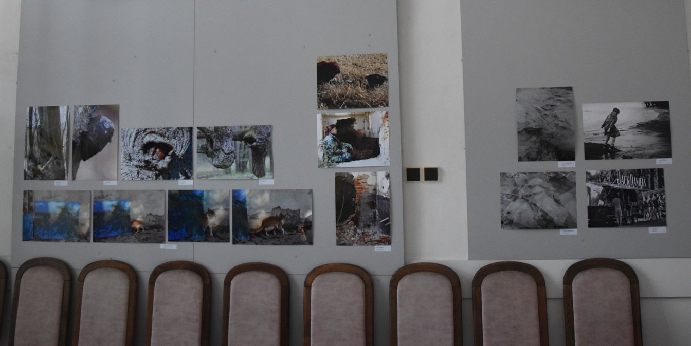 AMFO 2019 regionálna postupová súťaž a výstava