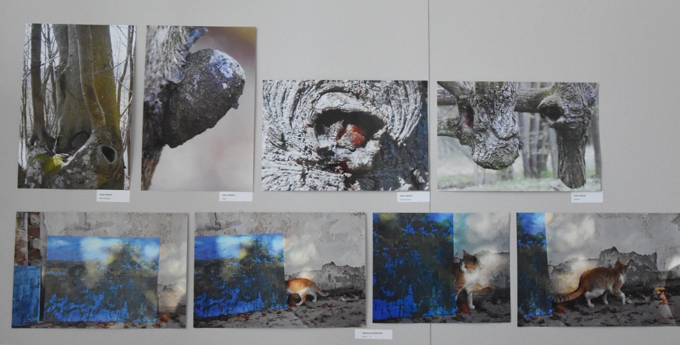 AMFO 2019 regionálna postupová súťaž a výstava