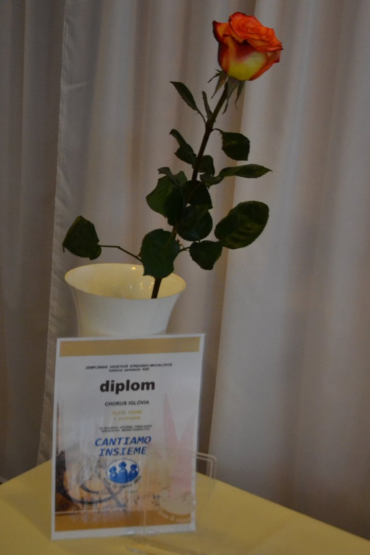 CANTIAMO INSIEME – VIVA IL CANTO 2019